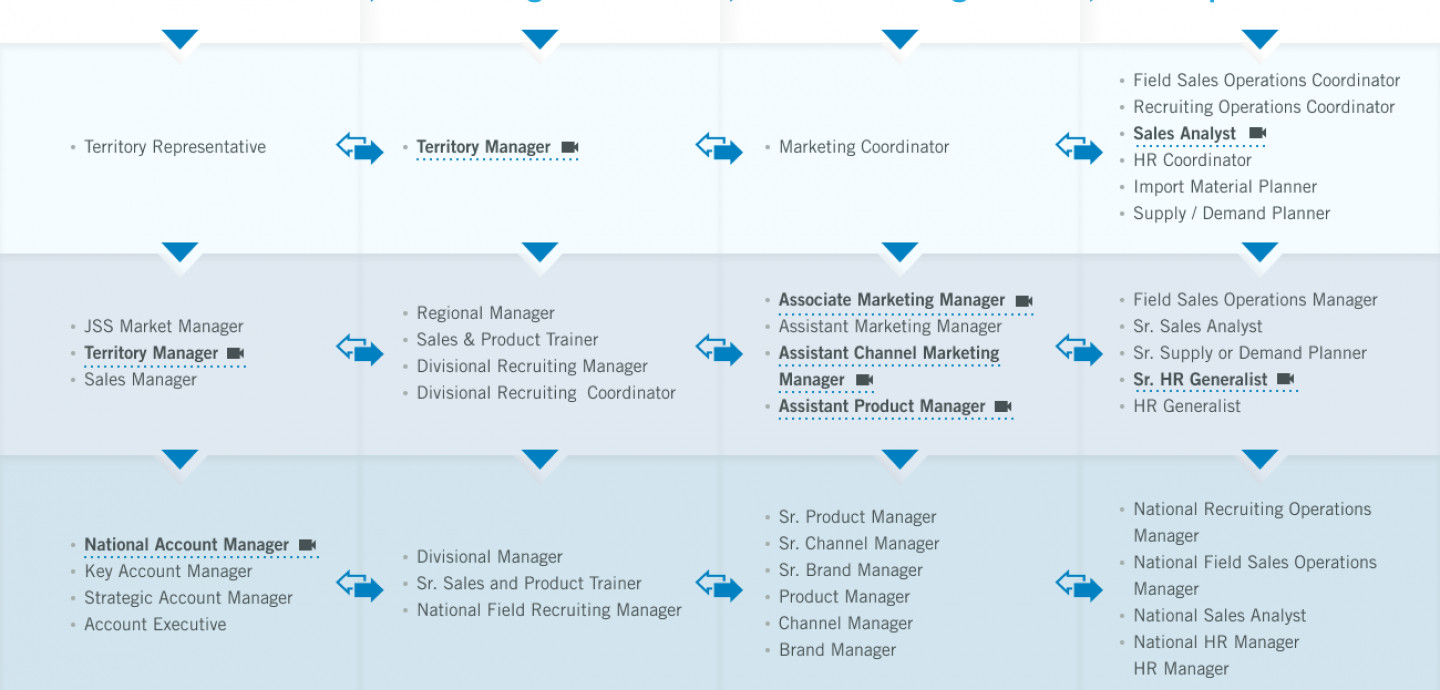 sales-marketing-sales-marketing-programs-techtronic-industries-tti